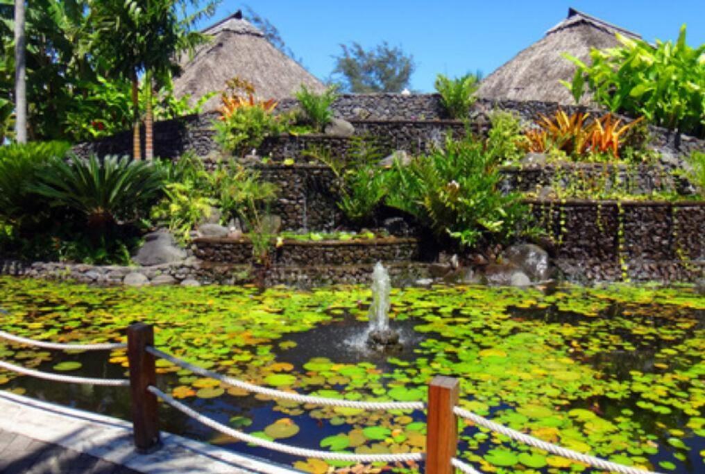 Leili Home - Papeete بابيت المظهر الخارجي الصورة